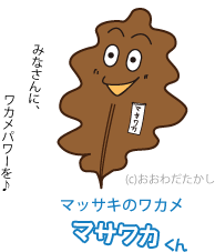 マッサキのワカメ「マサワカ」くん