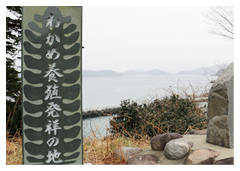 ワカメ養殖発祥の碑